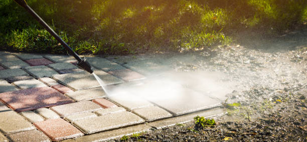 Professional Pressure washing in Greenwood, DE